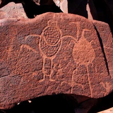 Een Burrup petroglyph (foto: fara.com.au).