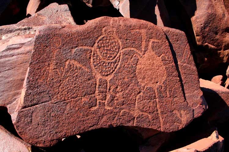 Een Burrup petroglyph (foto: fara.com.au).